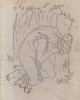 Ovidiu - Metamorfozele, Editie 1957