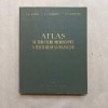 V. G. Eliseev - Atlas al structurii microscopice a tesuturilor si organelor