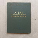 V. G. Eliseev - Atlas al structurii microscopice a tesuturilor si organelor
