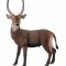 Antilopa africana- Collecta