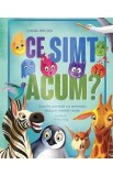 Ce simt acum? - Chiara Piroddi