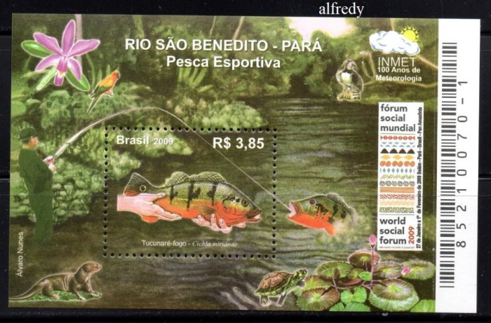 BRAZILIA 2009, Fauna, Pesti, MNH, serie neuzata