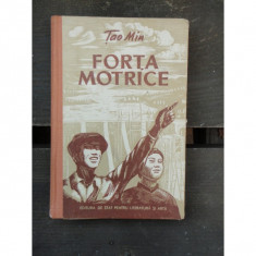 FORTA MOTRICE - TAO MIN foto