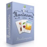Carti de joc Montessori - Anotimpuri