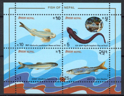 NEPAL-1993-PESTI-Bloc de 4 timbre nestampilate MNH foto