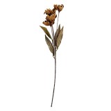 Cumpara ieftin Floare artificiala verde bej 8x5x60 cm
