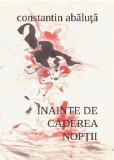 Cumpara ieftin Inainte de caderea noptii | Constantin Abaluta