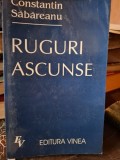 Ruguri ascunse - Constantin Săbăreanu