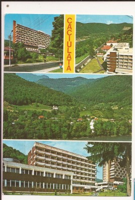 CA10 - Carte Postala - Caciulata, Circulata 1973 foto