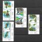 ROMANIA 2025 - REZERVATIA BIOSFEREI -DELTA DUNARII, TETE BECHE, MNH - LP 2529