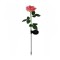 Lampa Solara LED tip Trandafir cu o floare pentru Gradina, Inaltime 75 cm, eMazing