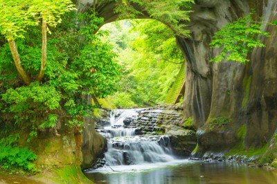 Fototapet Cascada foto