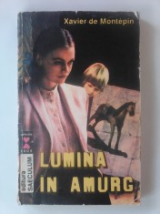 Lumina in amurg - XAVIER DE MONTEPIN foto