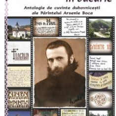 Vreau sa schimb lacrimile voastre in bucurie - Antologie de cuvinte duhovnicesti ale Parintelui Arsenie Boca