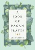A Book of Pagan Prayer