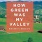 How Green Was My Valley