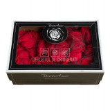 Petale de Trandafiri Criogenati PETALS RED-02 (cutie)