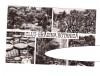 Carte Postala Cluj, Gradina Botanica, Mozaic, RSR, Circulata 1966, Stare Buna, Transilvania