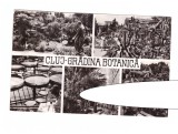 CP Cluj - Gradina botanica, mozaic, RSR, circulata 1966, stare buna, Printata, Cluj Napoca