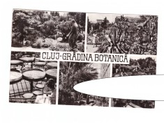 CP Cluj - Gradina botanica, mozaic, RSR, circulata 1966, stare buna