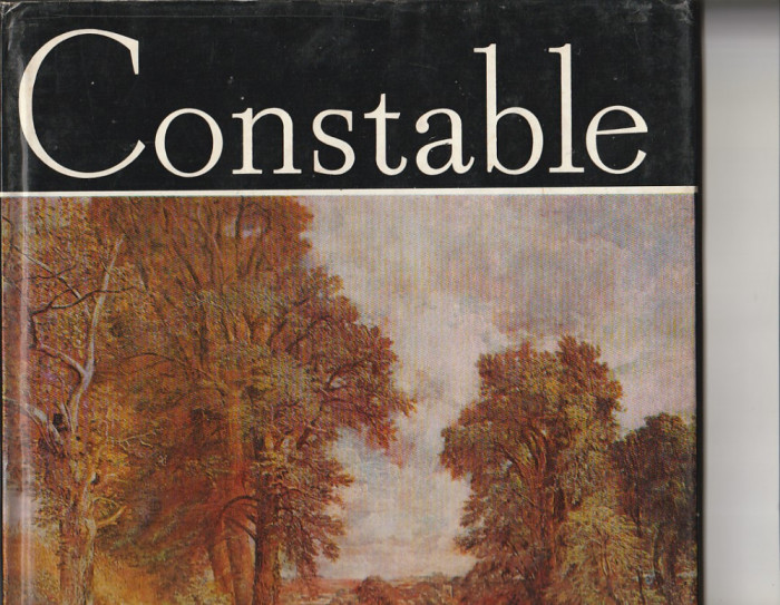 VASILE NICOLESCU - CONSTABLE ( ALBUM PICTURA )