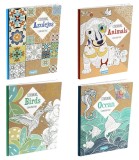 Carte de Colorat cu Copertă Tare, 64 Pagini, 4 Tipuri