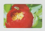 bnk card Cartele telefonice - Romania Romtelecom 2003 Flowers 8 (2nd Printing) - Col:RO-ROM-0186