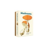 Mushrooms: An Abbeville Notecard Set