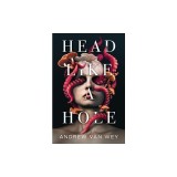 Head Like a Hole: A Novel of Horror