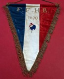 Fanion (model vechi-protocol-Brodat anul 1978) Handbal - Federatia de HANDBAL din FRANTA
