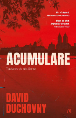 Acumulare, David Duchovny - Editura Curtea Veche foto