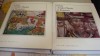Istoria Artelor Plastice in Romania, 2 volume, 1970. Cartonate, stare buna. Arta Romaneasca