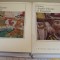 Istoria artelor plastice in Romania - 2 volume -1970