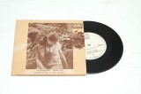 Alexandru Andrieș &lrm;&ndash; Aștept&icirc;nd-o Pe Maria / Pete Albe - disc vinil vinyl mic 7&quot;