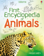 First Encyclopedia of Animals - Usborne book (6+) foto