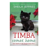 Timba Comes Home