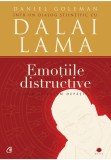 Cumpara ieftin EMOTIILE DISTRUCTIVE