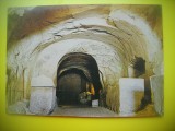 HOPCT 6065 BETH SHEARIM -ISRAEL-ASIA -NECIRCULATA, Printata