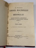 In Muntii Sinaiei, Rucarului si Branului - Mihai Gold Haret 1910, Carte Veche, Coperta Cartonata