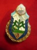 Insigna Vanator de Munte- Alpinist Militar cl.3 , h=4,7cm, defecte la email