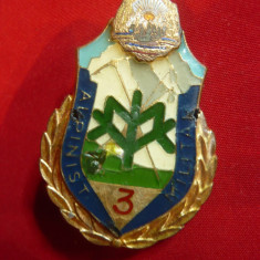 Insigna Vanator de Munte- Alpinist Militar cl.3 , h=4,7cm, defecte la email