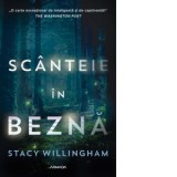 Scanteie in bezna - Stacy Willingham