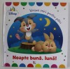 NOAPTE BUNA , LUNA ! de KATARZYNA KMIEC - KRZEWNIAK , 2019