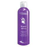 Sampon Caini Diamex Super White, 250ml, pentru Bichon, Westie, Blana Alba, Argintie, Ulei de Migdale, Stralucire