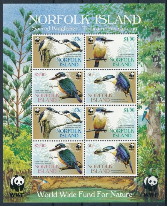 NORFOLK ISLANDS 2004 WWF PESCARUS ALBASTRU