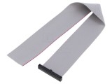 Cablu panglică SAMTEC IDC 20 pini 1,27mm FFSD-20-S-10.00-01-N