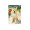 Because of Winn-Dixie Reissue