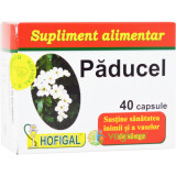 Paducel 40cps