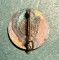 Insigna Atlet scolar - 2