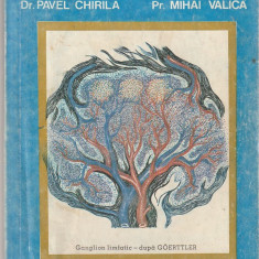 PAVEL CHIRILA, MIHAI VALICA - MEDITATIE LA MEDICINA BIBLICA